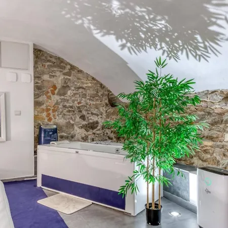 Royal Et Balneo Privatif Apartamento Lyon